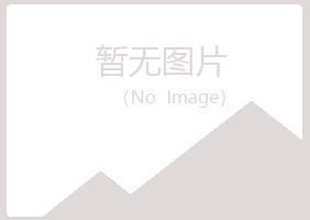 茂南区白山会计有限公司